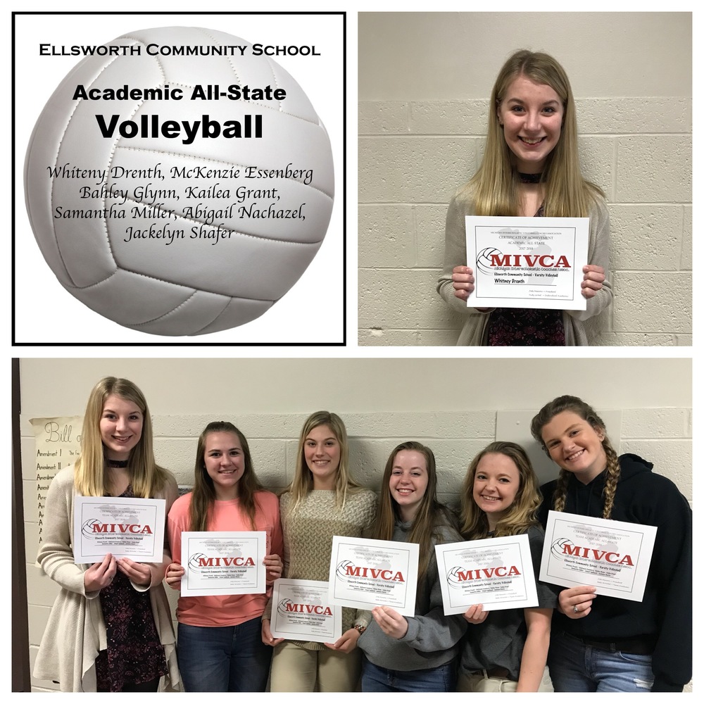 Volleyball:  Academic All-State